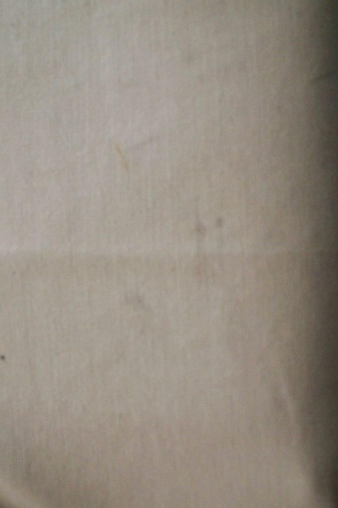 BUI DE BARBARA BUI Women's Beige Cotton Stretch Casual Trousers Pants XS