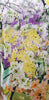 MARY KATRANTZOU Multi-Colour Modal Floral Print Short Sleeve T-Shirt Tee Top S